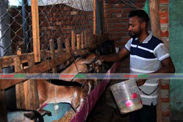 ১০ হাজার দিয়ে শুরু, শিবলী এখন ১৫ লাখ টাকার মালিক