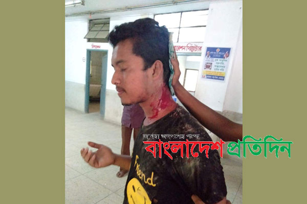 মেহেরপুর সরকারি কলেজে ছাত্রলীগে বিবাদ, আহত ৫