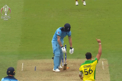 বিশ্বকাপে দুর্দান্ত স্টার্কের উইকেট (ভিডিও)