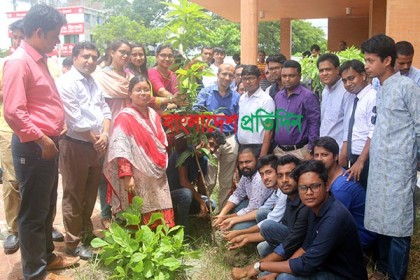 ক্যাম্পাস সবুজায়নের লক্ষ্যে ববিতে বৃক্ষরোপণ কর্মসূচি