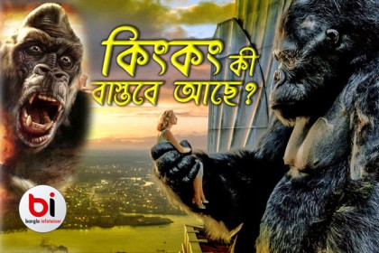 ‘কিং কং’ এর মত প্রাণী বাস্তবে আছে, নাকি নাই? (ভিডিও)