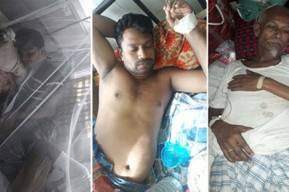 বরিশালেও ডেঙ্গু জ্বরের প্রকোপ
