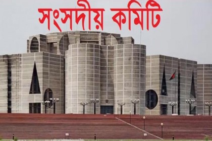 পেট্রোবাংলার কার্যক্রমে নজরদারি বৃদ্ধির সুপারিশ