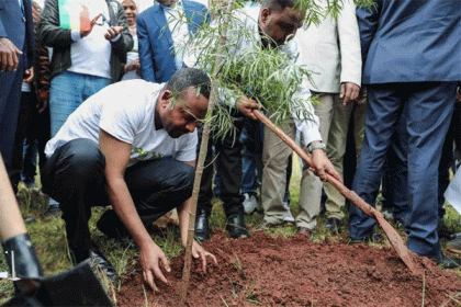 বৈশ্বিক উষ্ণতা রুখতে ৩৫ কোটি গাছ লাগিয়ে বিশ্বরেকর্ড