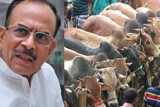 মুসলিমদের গরু কুরবানি দিতে নিষেধ করলেন মন্ত্রী!