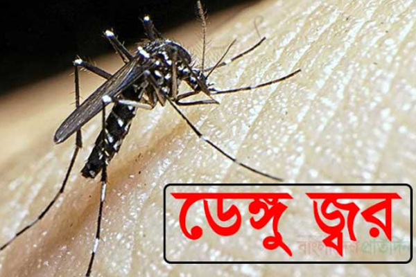 রাজশাহীতে ডেঙ্গু রোগ বিশেষজ্ঞ টিম
