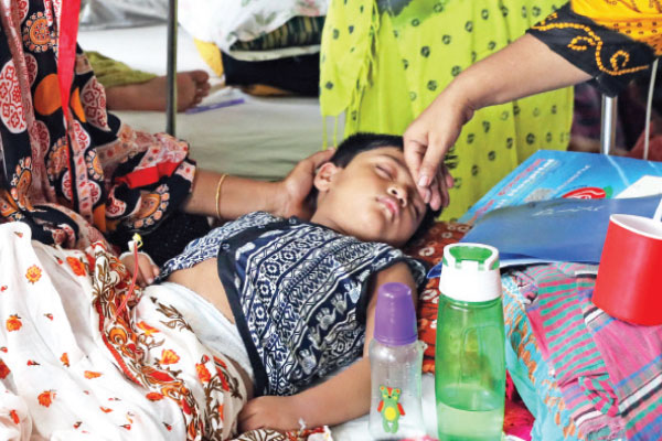 উত্তরে কম দক্ষিণে বেশি এডিস    