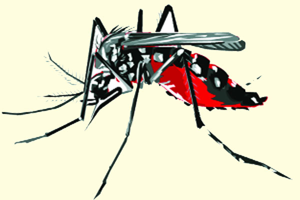 ডেঙ্গু ঘিরে আইসিইউ সংকট
