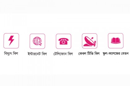 বছরে ১ কোটির বেশি বিদ্যুৎ বিল পরিশোধ বিকাশে