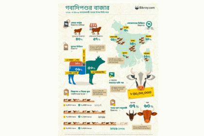অনলাইন থেকে গরু কেনায় আগ্রহী হয়ে উঠছে মানুষ 