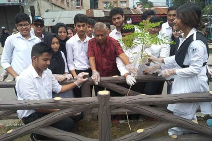 সিলেটে সড়ক বিভাজকে শিক্ষার্থীদের বৃক্ষরোপন