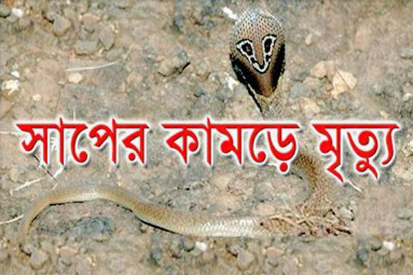 সিলেটে সাপের কামড়ে দু’জনের মৃত্যু
