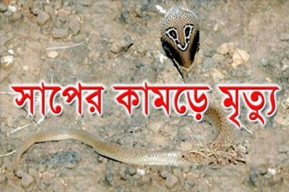 সিলেটে সাপের কামড়ে দু’জনের মৃত্যু