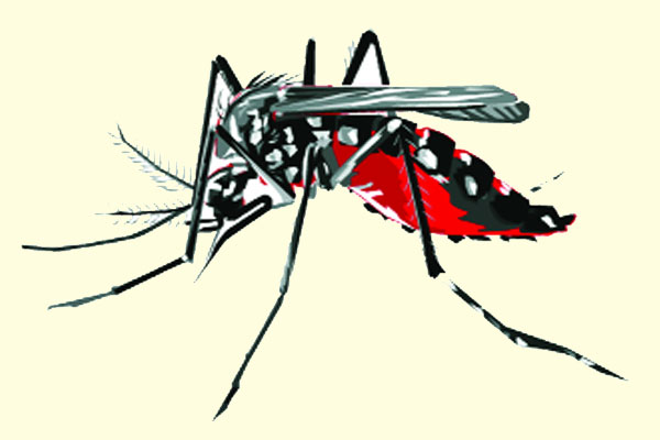 ঈদকালীন ডেঙ্গু পরিস্থিতি মোকাবিলায় সতর্কতা