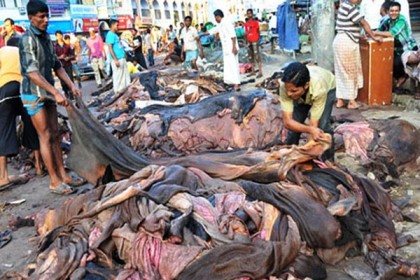 কাঁচা চামড়া রপ্তানির অনুমতি দিচ্ছে সরকার