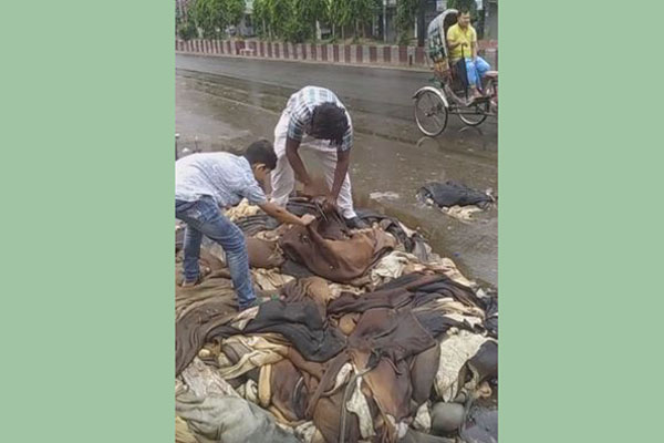 এবার কোরবানির পশুর চামড়া কেটে প্রতিবাদ, ফেসবুকে ভাইরাল (ভিডিও)
