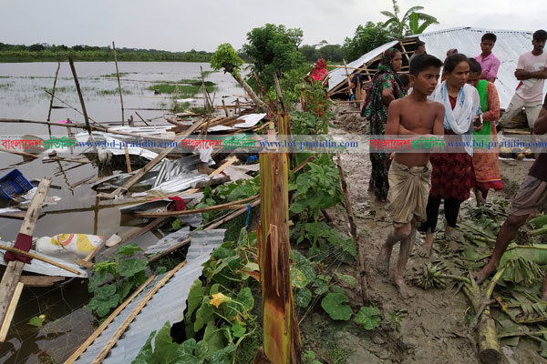 প্রকাশ্যে দিবালোকে আওয়ামী লীগ কর্মীর বসতবাড়ি গুড়িয়ে দিল দুর্বৃত্তরা