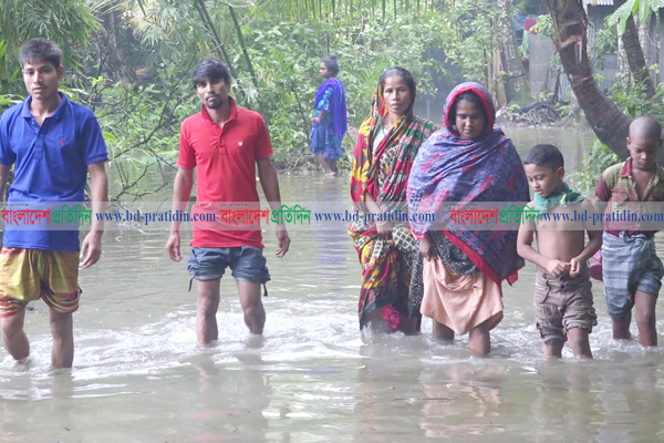 ভারি বর্ষণে লক্ষ্মীপুর পৌর শহরের দুই শতাধিক পরিবার পানিবন্দী