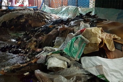 সিলেটে ১০ টন চামড়া ময়লার ভাগাড়ে