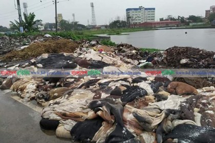 রাস্তায় পড়ে আছে হাজার হাজার চামড়া!
