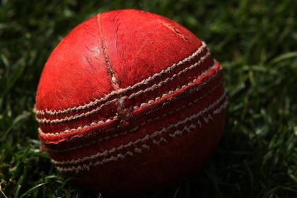 ক্রিকেটে আসছে 'নিরামিষ বল'!