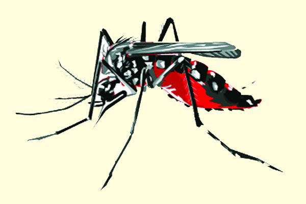 ডেঙ্গু অধ্যায়ের শেষ কোথায়
