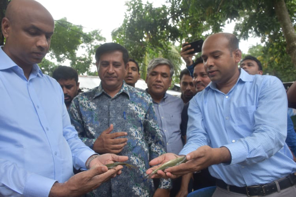 হালদার পোনা পরিচর্যার ‘মডেল পুকুর’ পরিদর্শন করলেন জেলা প্রশাসক

