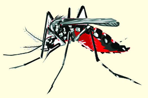 ডেঙ্গুতে এক দিনে গেল ৮ প্রাণ