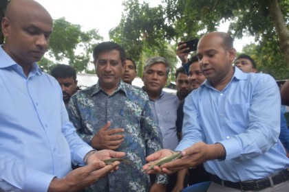 হালদার পোনা পরিচর্যার ‘মডেল পুকুর’ পরিদর্শন করলেন জেলা প্রশাসক

