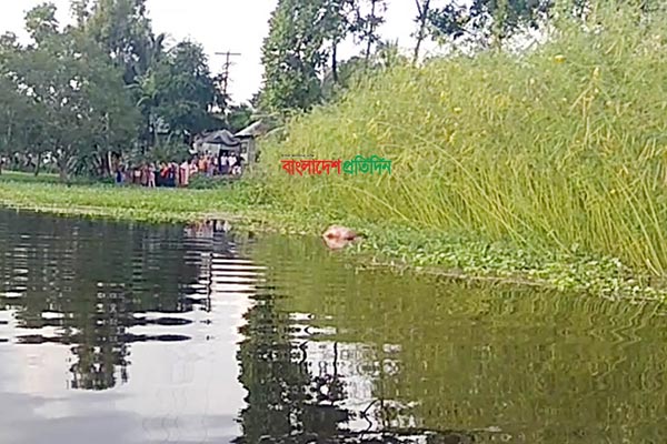 কুমিল্লায় হত্যার পর অজ্ঞাত ব্যক্তির লাশ পানিতে