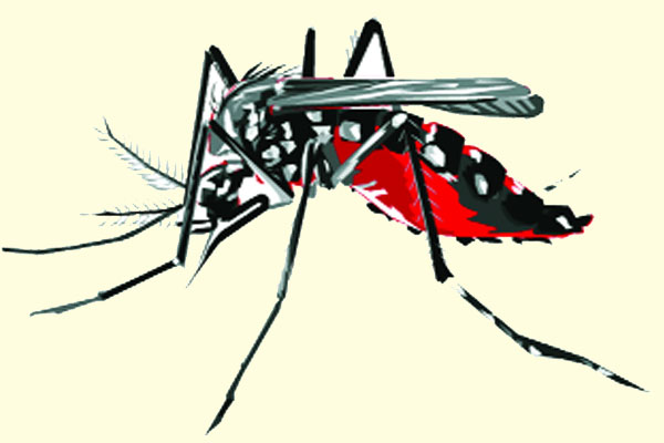 এডিসের স্থায়ী সমাধানে আসছে বিশেষজ্ঞ টিম