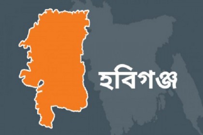 হাসপাতাল থেকে নবজাতক চুরি, গৃহবধূ আটক