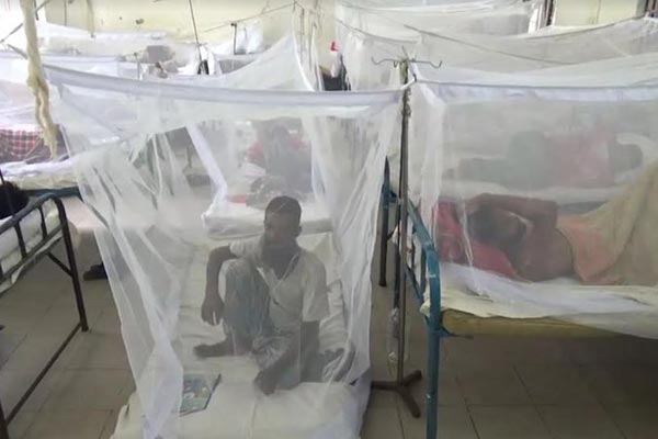 পটুয়াখালীতে ৩৬৪ ডেঙ্গু রোগী সনাক্ত, হাসপাতালে ভর্তি ৪২