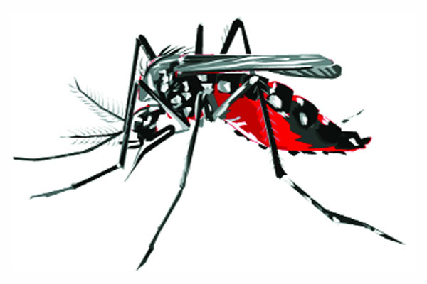 এক বছরে দুই দফা ডেঙ্গু আক্রান্ত