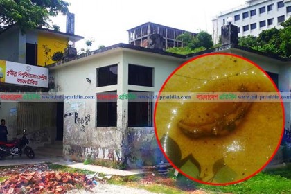 কুবির ক্যাফেটেরিয়ার খাবারে আস্ত টিকটিকি! 