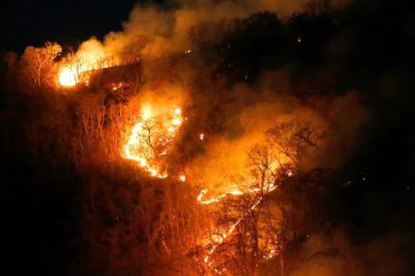 অ্যামাজনে আগুন নেভাতে কাজ করছে ৪৪ হাজার সেনা সদস্য