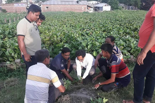 উজিরপুরে মাদ্রাসা ছাত্রকে মাটিতে পুঁতে রাখার অভিযোগ
