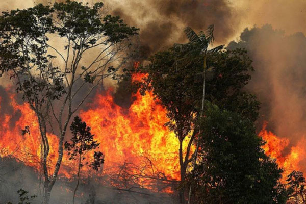 আমাজনের আগুন আরও ভয়ঙ্কর রূপ নেওয়ার আশঙ্কা
