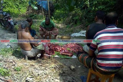 ঘোড়ার মাংস খাওয়া নিয়ে দিনাজপুরে চাঞ্চল্য, আটক ১