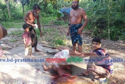 ঘোড়ার মাংস খাওয়া ও বিক্রির ঘটনায় তিনজনের কারাদণ্ড