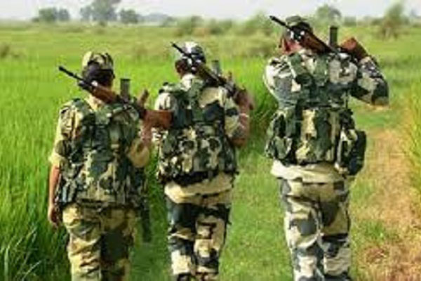 সীমান্ত থেকে ২ বাংলাদেশিকে ধরে নিয়ে গেছে বিএসএফ