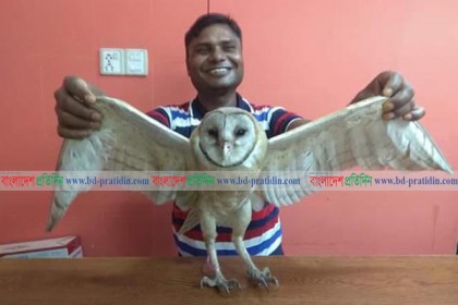 ঠাকুরগাঁওয়ে বিরল প্রজাতির পাখি উদ্ধার 