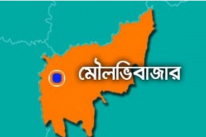 শ্রীমঙ্গলে বাসের ধাক্কায় প্রাণ গেল যুবকের