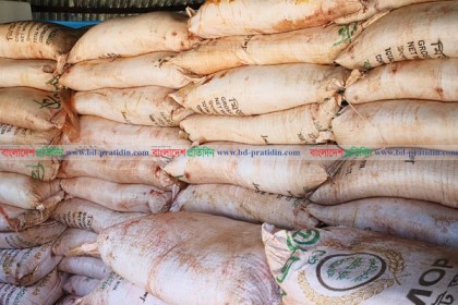নাটোরের সিংড়ায় ২৪০ বস্তা চোরাই সার উদ্ধার