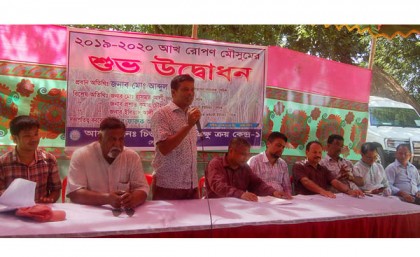 দিনাজপুরে সেচিকে আখ রোপন মৌসুম উদ্বোধন