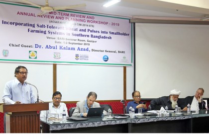 বারিতে লবণাক্ততা সহিষ্ণু গম ও ডাল ফসল উৎপাদন বিষয়ক কর্মশালা 


