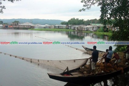 কাপ্তাই হ্রদে মাছের বাম্পার আহরণ
