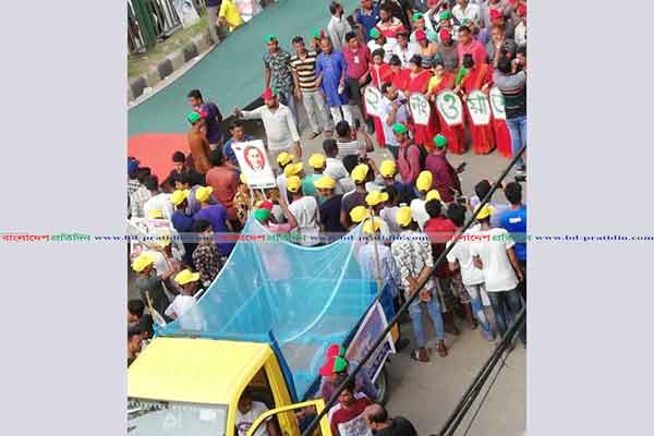 বিএনপির প্রতিষ্ঠাবার্ষিকীর র‌্যালিতে 'মশারি'!