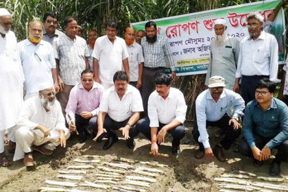 'চিনিশিল্পকে লাভজনক করতে সকলকে কাজ করতে হবে'

