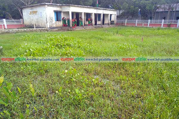 বিদ্যালয়ের মাঠে পানি-কচুরিপানা, দুর্ভোগে শিক্ষক-শিক্ষার্থীরা